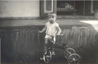 juli 36 de wegrenner van den Berg